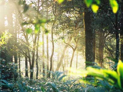 Knuckles Range Knuckles Range