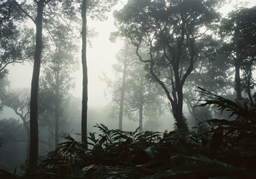 Knuckles Range Knuckles Range