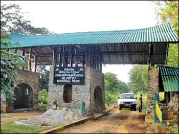 Wilpattu National Park